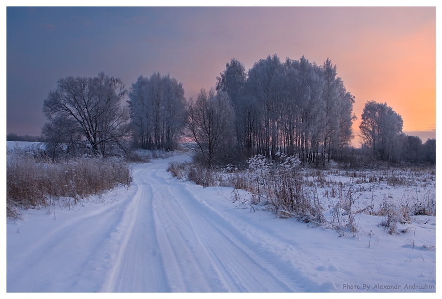 Фото жизнь