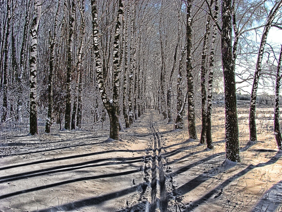 Фото жизнь