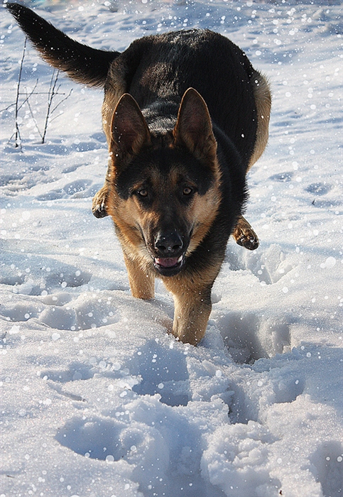 Фото жизнь
