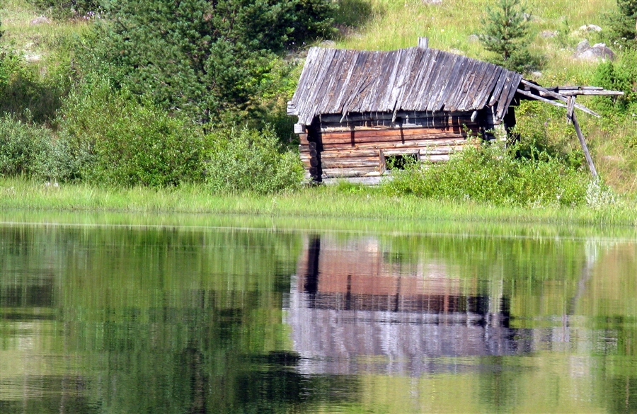 Фото жизнь