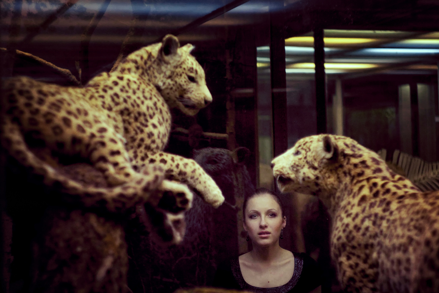 Фото жизнь - Оля Зубова - альбом "museum" - леопарды