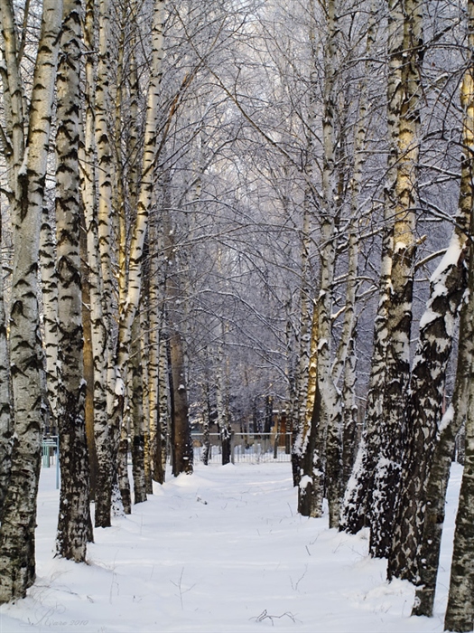 Фото жизнь