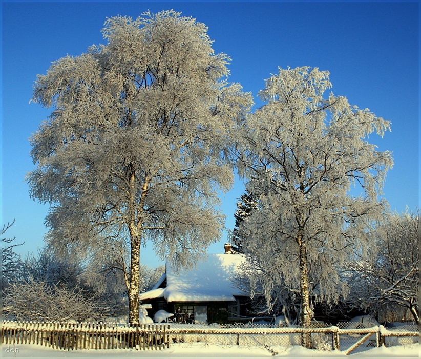 Фото жизнь