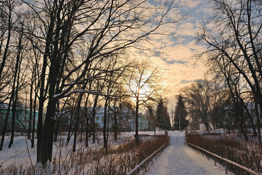 Фото жизнь