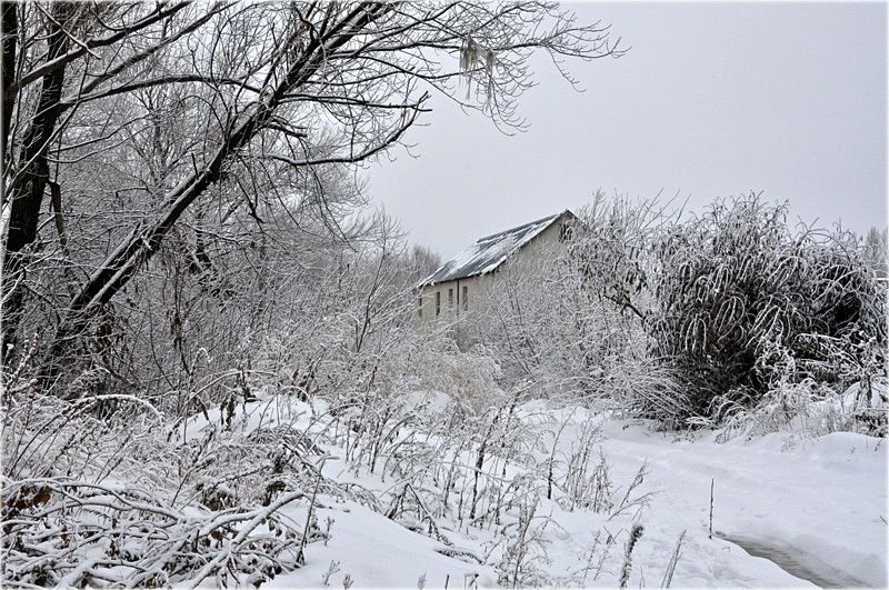 Фото жизнь (light) - Анна Талышева - Про природу - ***