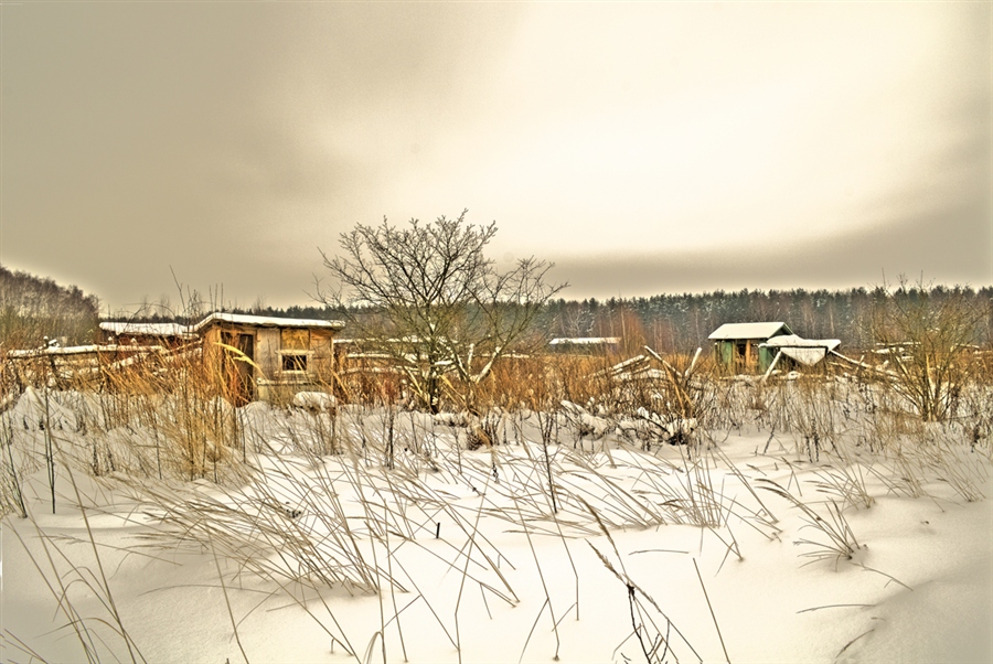 Фото жизнь