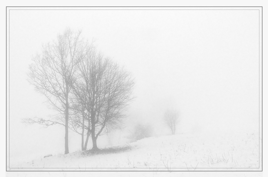 Фото жизнь (light) - mystera - Winter Landschaft. - Winter Spirit.