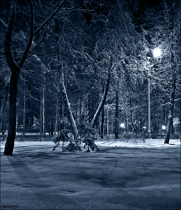 Фото жизнь (light) - dpostnikov - Городской пейзаж. - Вечерний пейзаж.