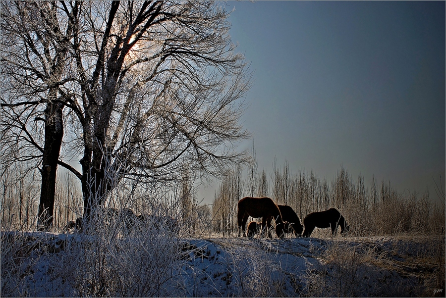 Фото жизнь