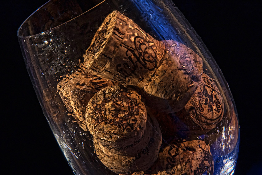 Фото жизнь (light) - FotoOhotnik - корневой каталог - ***