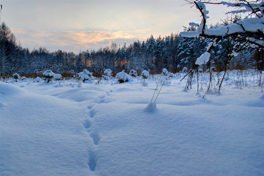 Фото жизнь