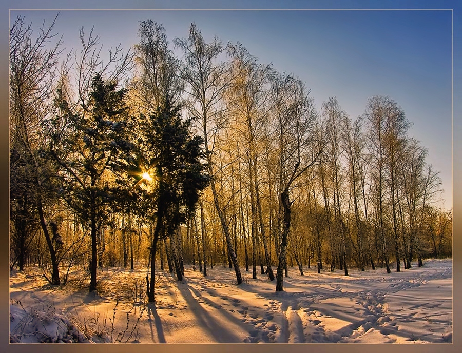 Фото жизнь