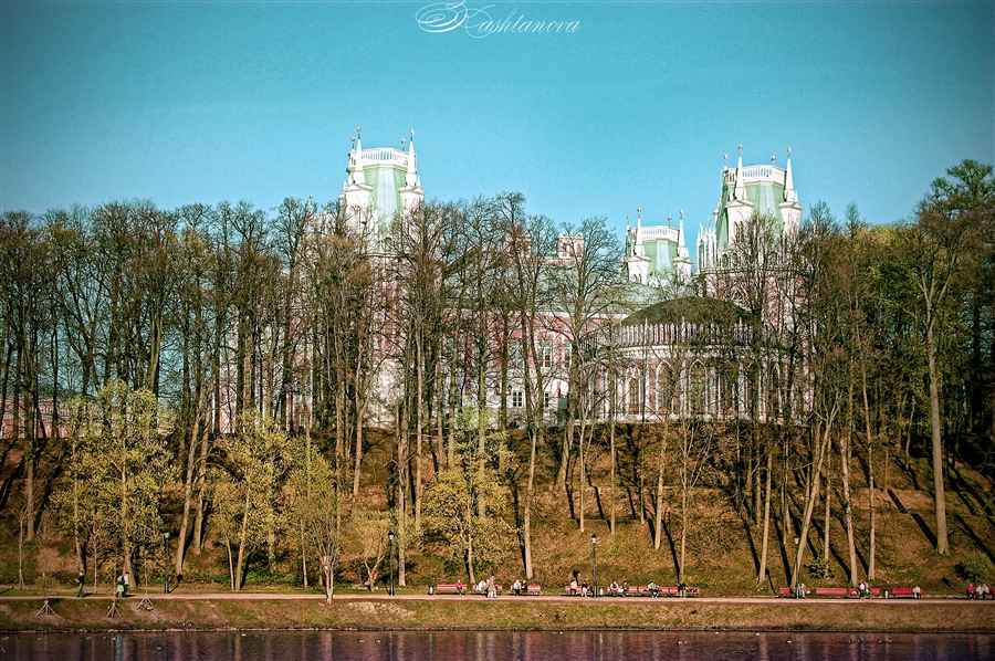 Фото жизнь