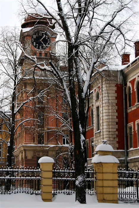 Фото жизнь