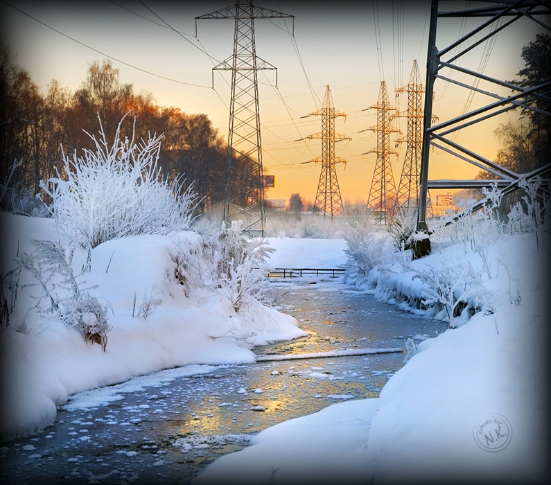 Фото жизнь