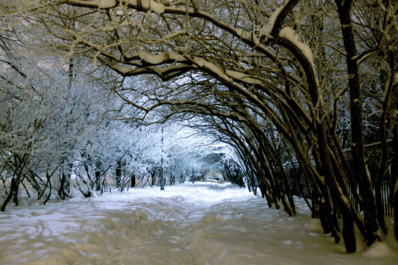 Фото жизнь (light) - Darya_Le_Grand - корневой каталог - Зима.