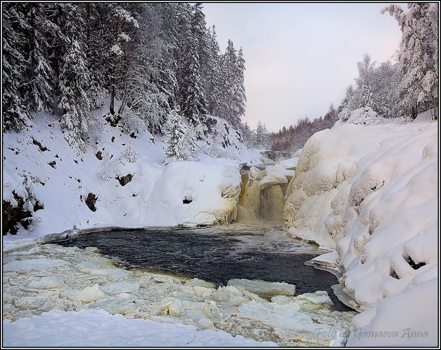Фото жизнь