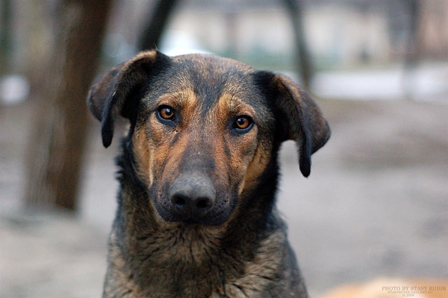 удивленная