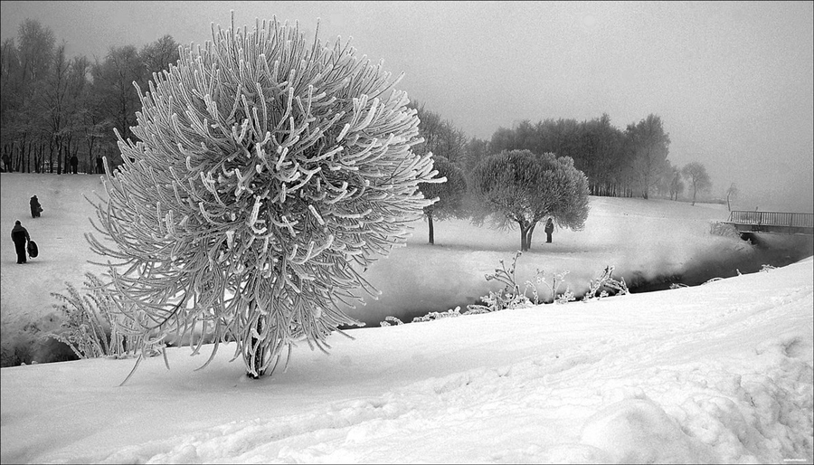 Фото жизнь