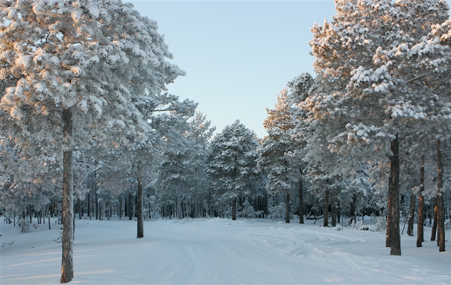 Фото жизнь