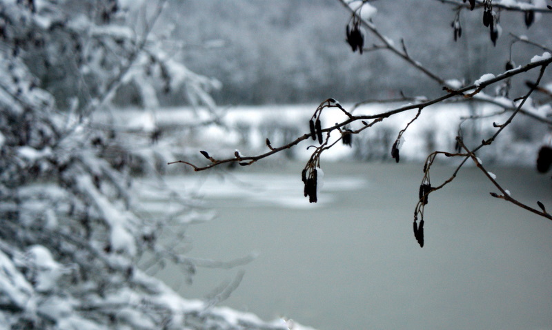 Фото жизнь - Annalena - корневой каталог - зима...
