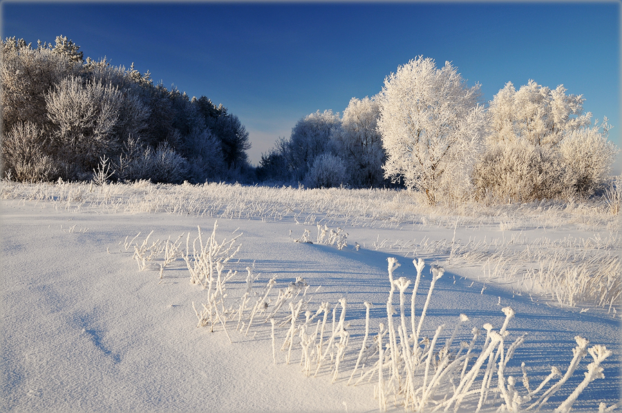 Фото жизнь - Михаил Филиппов  - Зима в разгаре - Пушистая зима