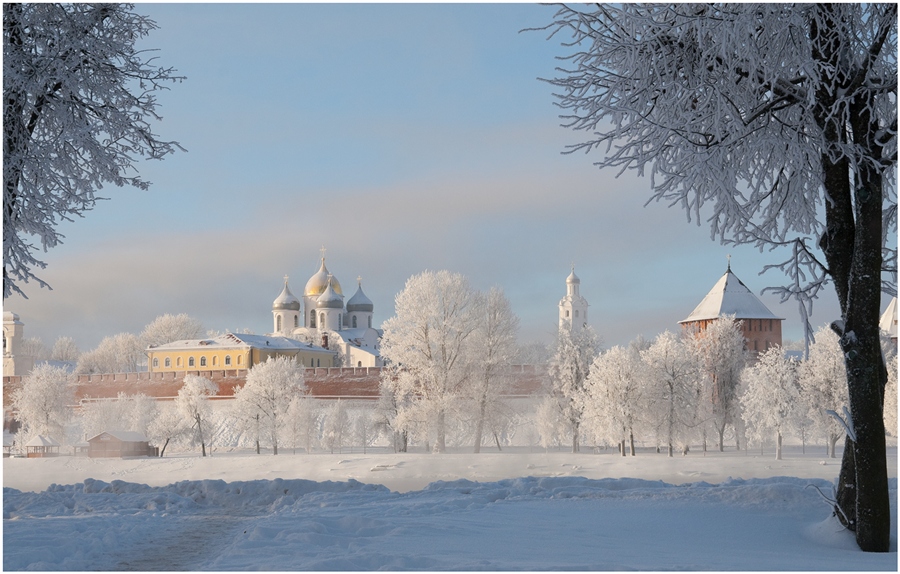 Фото жизнь