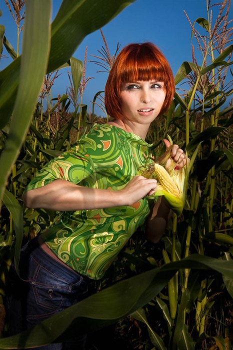 кукурузка поспела