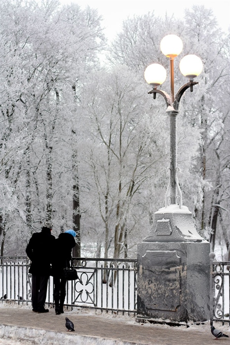 Фото жизнь