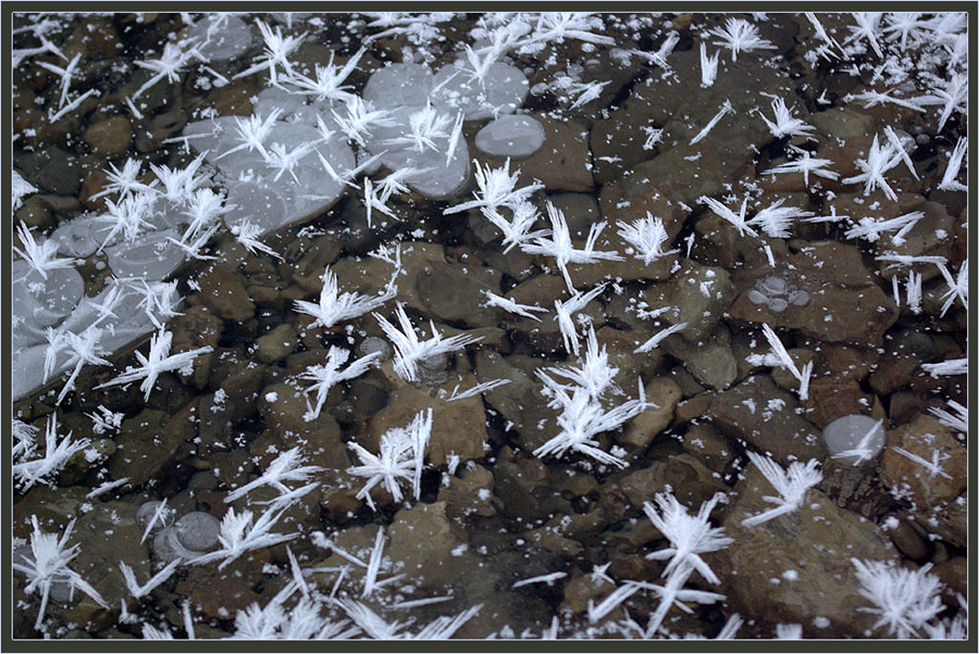 Фото жизнь (light) - Виктор Солодухин - Сказочная зима - Цветущий лёд