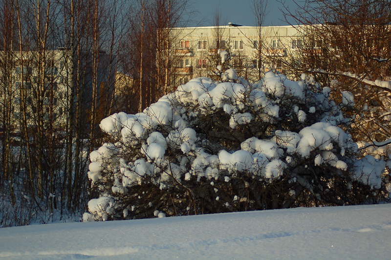 Фото жизнь (light) - Katrusya - Города/Страны (Photo Album) Сity&Country - Маарду (2010)