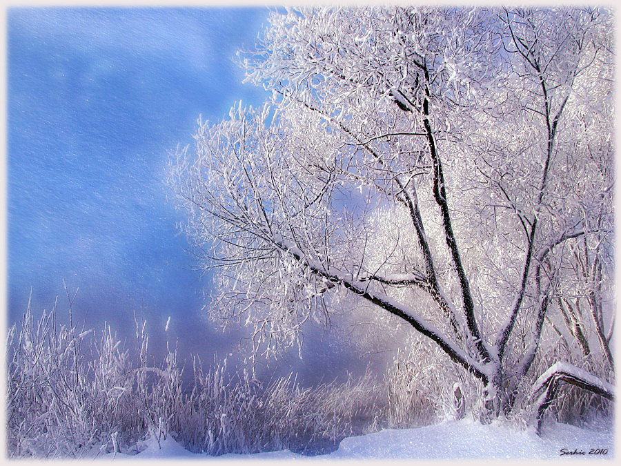 Фото жизнь (light) - serg... - Природа, пейзажи - Играй Зима шарманка...
