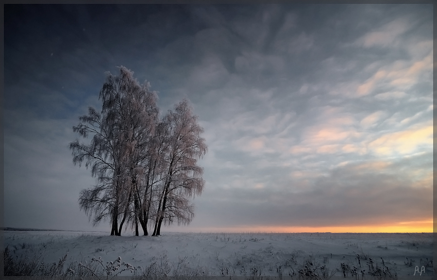 Фото жизнь (light) - Алексей Андросов - Пейзаж - Закат в январе