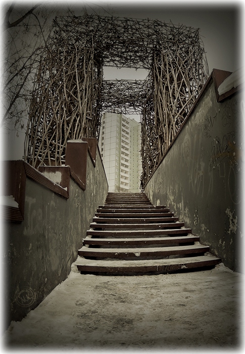 Фото жизнь