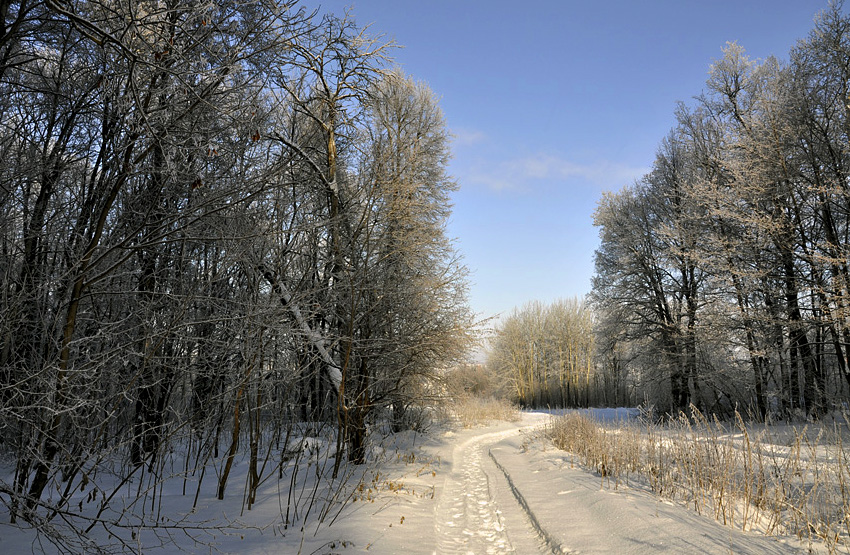 Фото жизнь