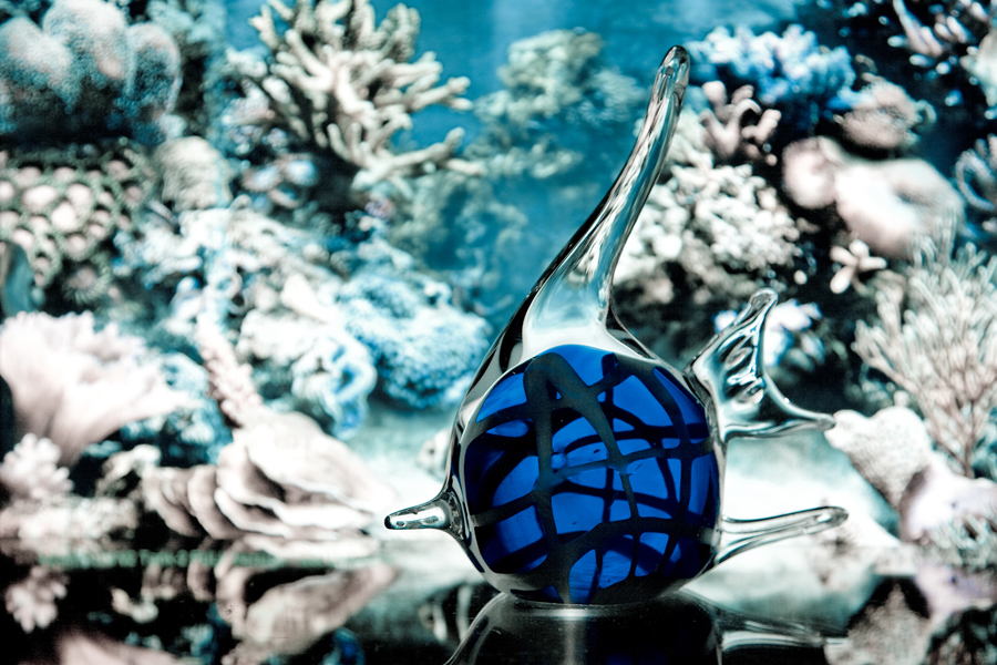 Фото жизнь (light) - Игорь Мишуткин - ______________ - ***