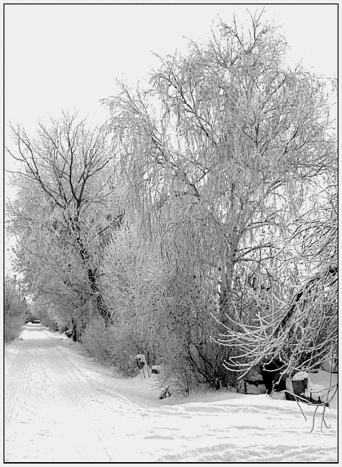 Фото жизнь (light) - Александр Рязанов - корневой каталог - кружева