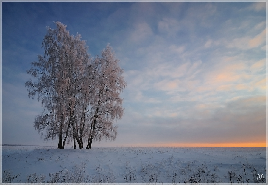 Фото жизнь - Алексей Андросов - Пейзаж - Небо января 