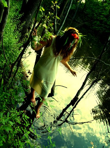 Фото жизнь (light) - El_Arco_Iris - [...The Forest Story...] - волшебство леса