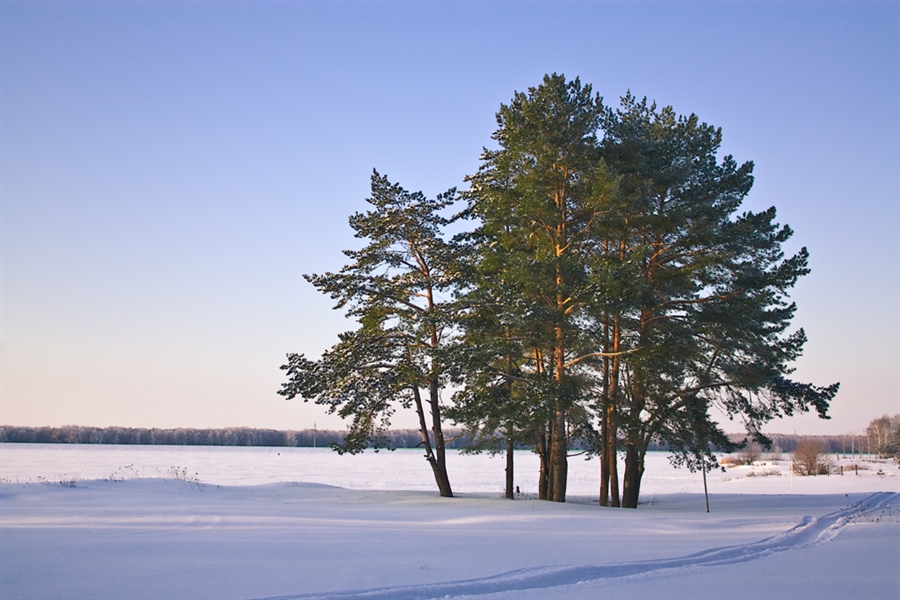 Фото жизнь
