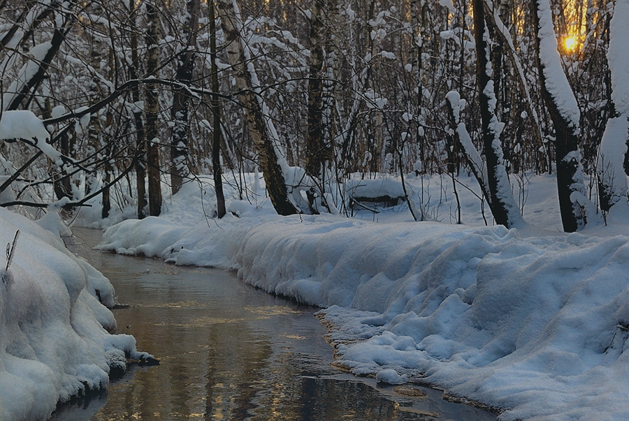 Фото жизнь