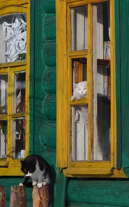 Фото жизнь