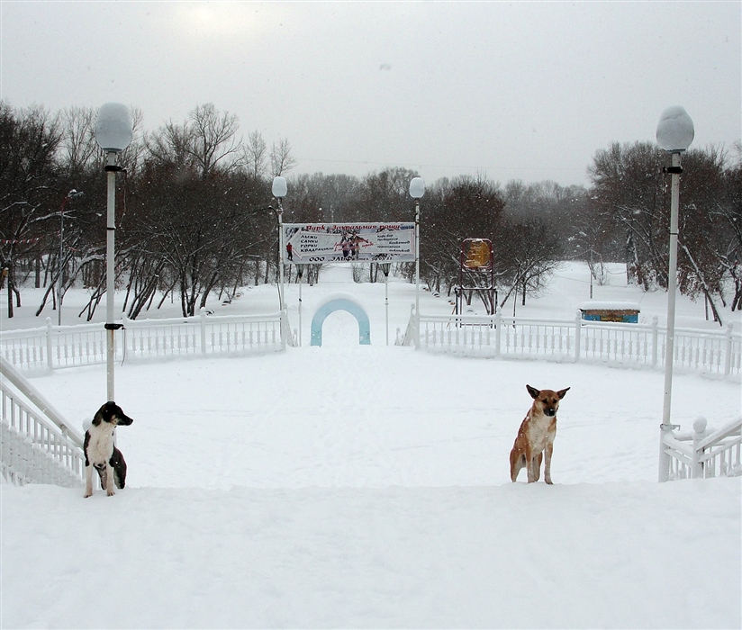 Фото жизнь