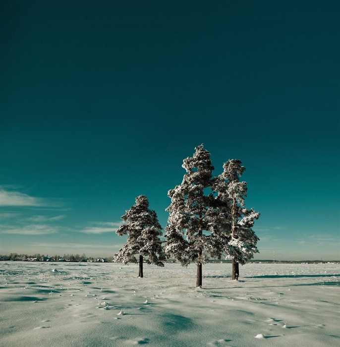 Фото жизнь