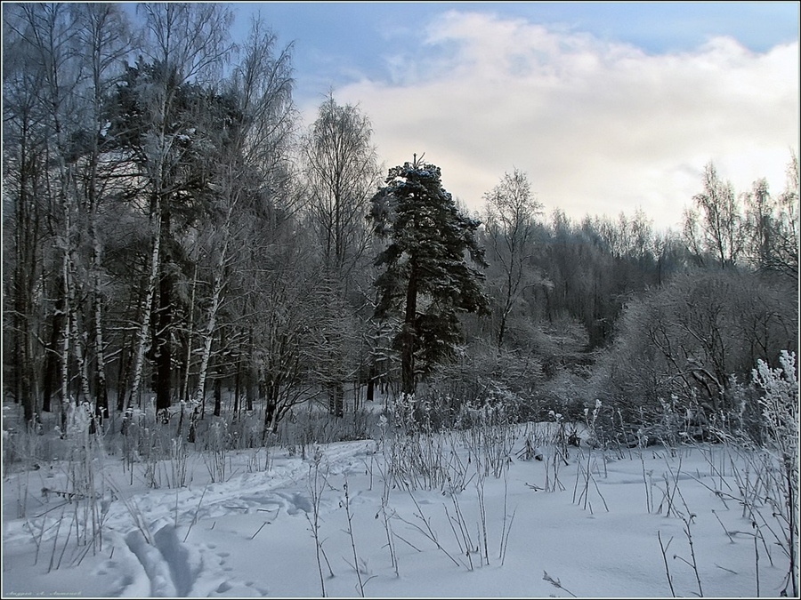 Фото жизнь
