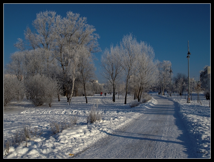 Фото жизнь