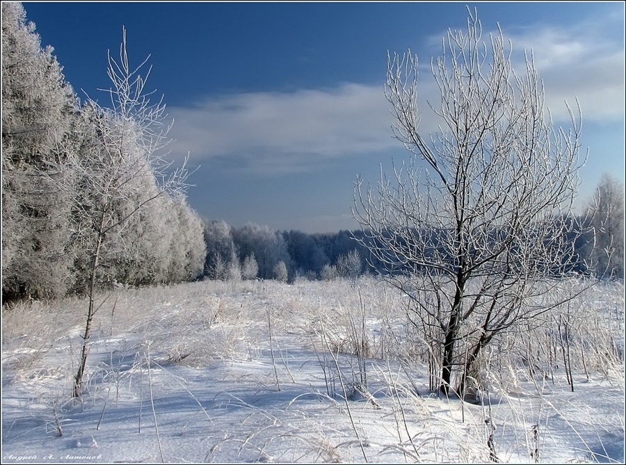 Фото жизнь