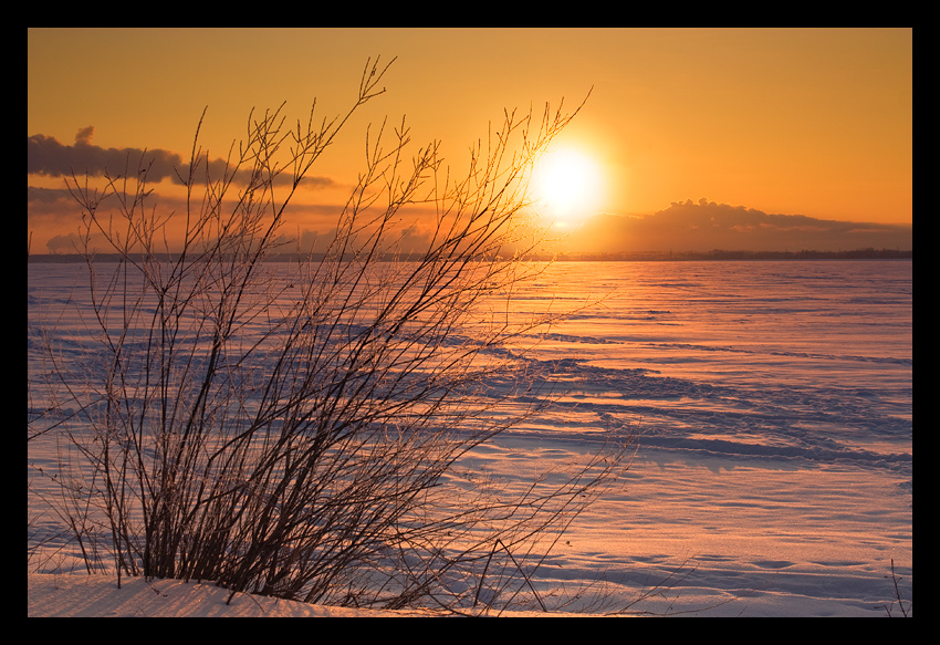 Фото жизнь (light) - Светлана Морсина - Зимние пейзажи - Дотянуться до солнца и согреться!