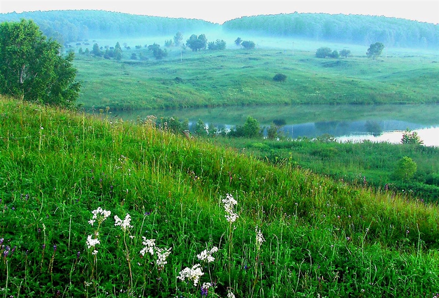 Фото жизнь