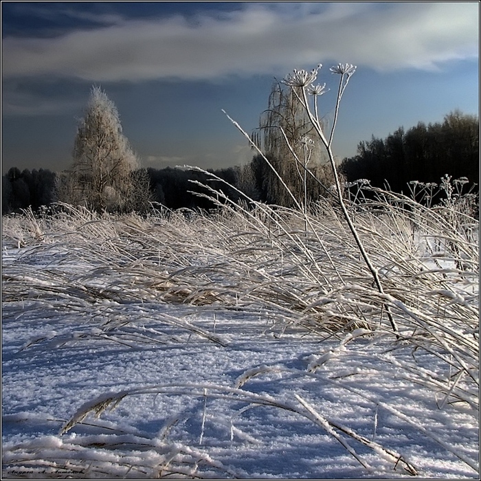 Фото жизнь